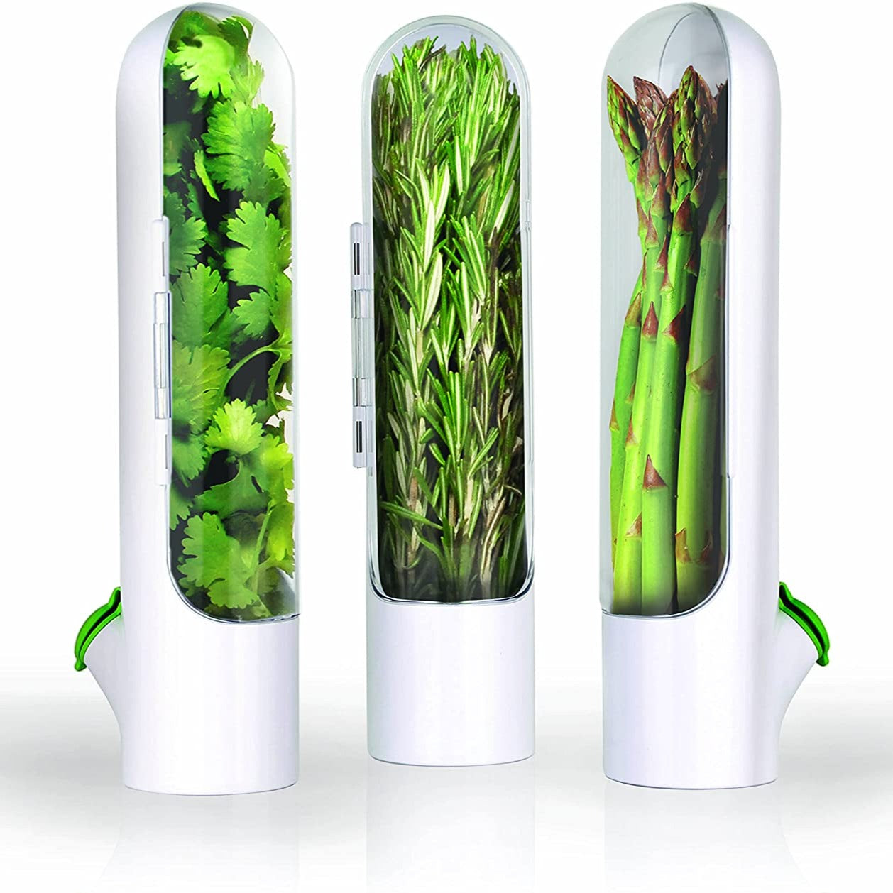 Fresh Herbs Keeper Box